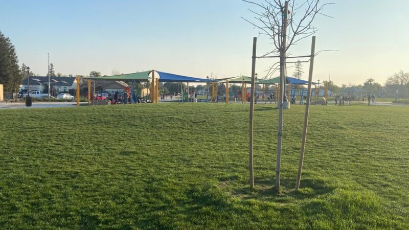 Linnell Brahma Park - Bakersfield, CA