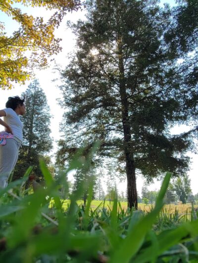 Pin Oak Park - Bakersfield, CA