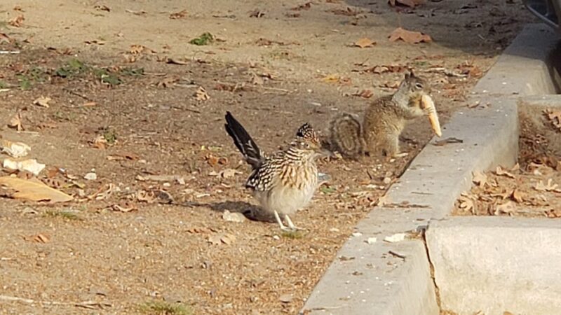 Rio Kern - Bakersfield, CA