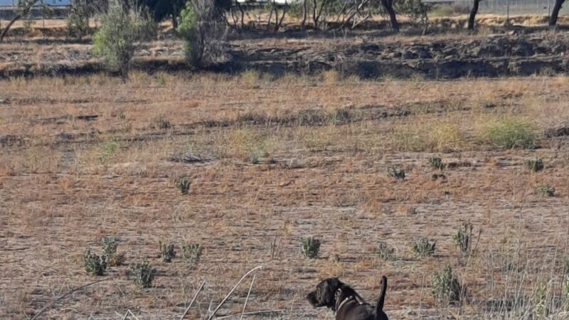 Rio Kern - Bakersfield, CA