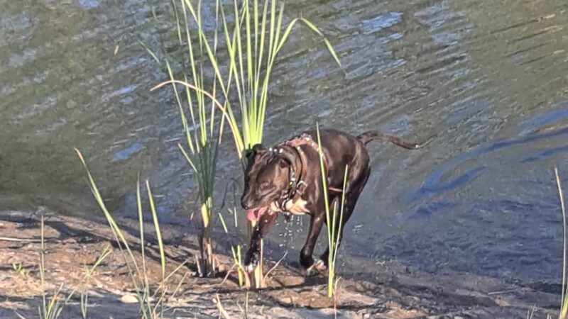 Rio Kern - Bakersfield, CA