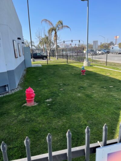 Samco Dog Park - Bakersfield, CA