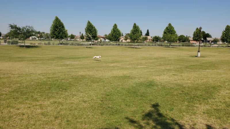 Seasons Dog Park (smaller dog park) - Bakersfield, CA
