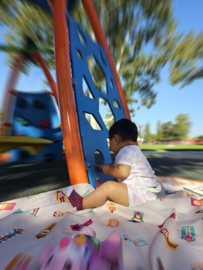 Seasons Dog Park (smaller dog park) - Bakersfield, CA