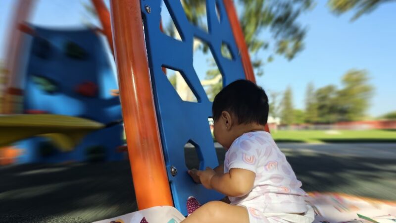 Seasons Dog Park (smaller dog park) - Bakersfield, CA