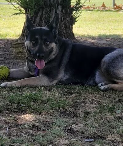 Seasons Park - Bakersfield, CA