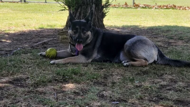 Seasons Park - Bakersfield, CA