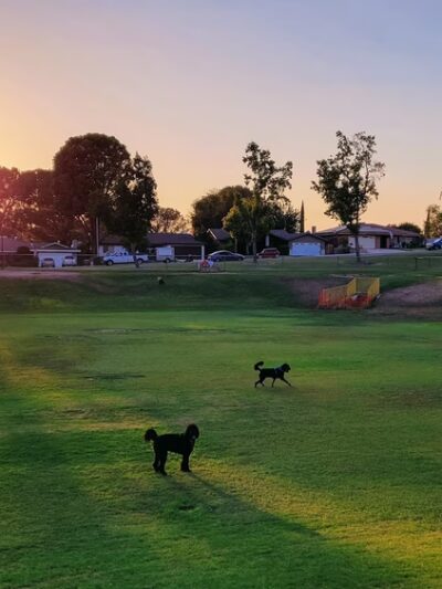 University Park - Bakersfield, CA
