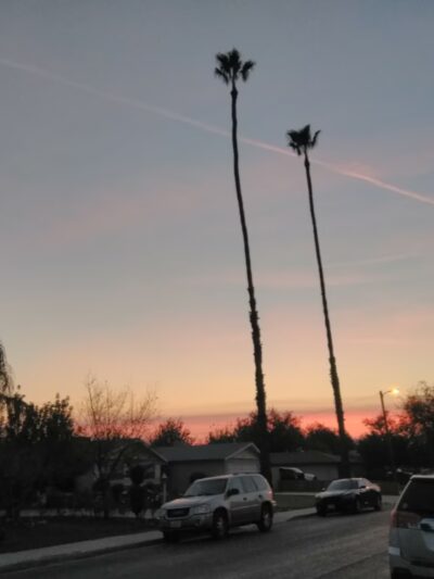 Wilson Park - Bakersfield, CA