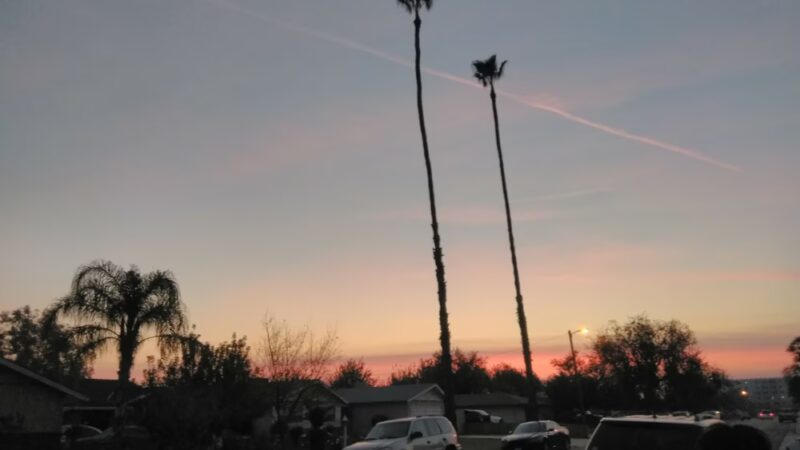 Wilson Park - Bakersfield, CA