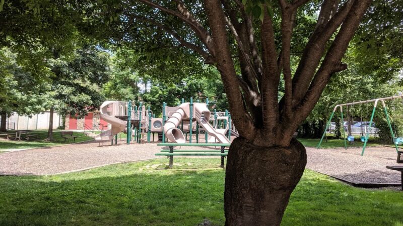 Bala Avenue Park - Bala Cynwyd, PA