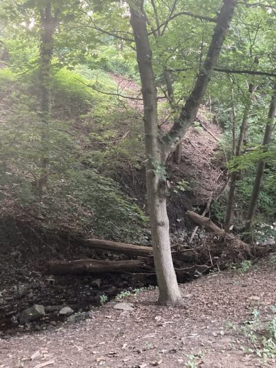 Barmouth Trailhead at the Cynwyd Heritage Trail - Bala Cynwyd, PA