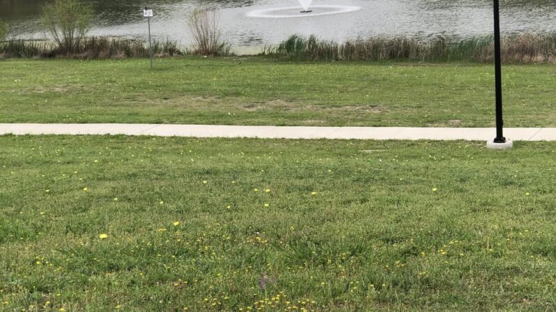 Walter E. Luedeke Park - Balch Springs, TX
