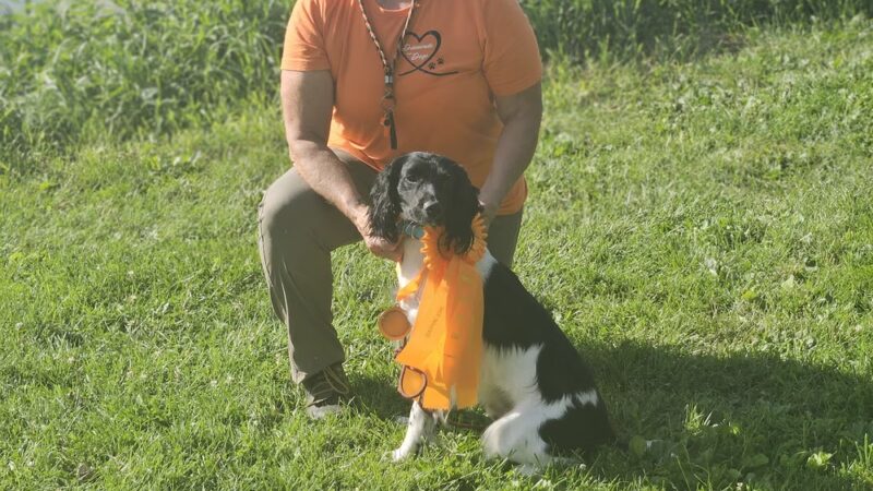 Good Go Ing Kennels - Baldwin, WI