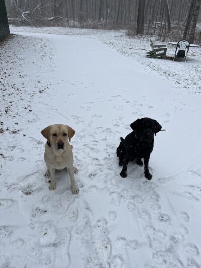 Good Go Ing Kennels - Baldwin, WI