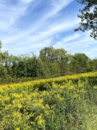 Gray's Crossing - Ballston Spa, NY