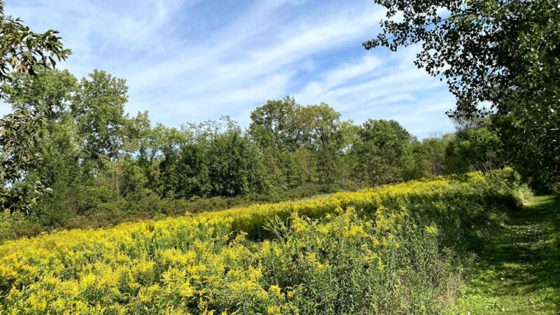 Gray's Crossing - Ballston Spa, NY