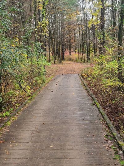 Malta Ecological Park - Ballston Spa, NY