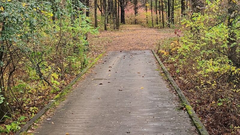 Malta Ecological Park - Ballston Spa, NY