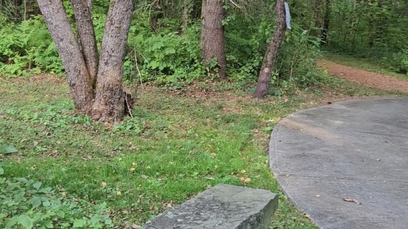 Malta Ecological Park - Ballston Spa, NY