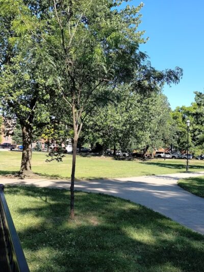 Arnold Sumpter Park - Baltimore, MD