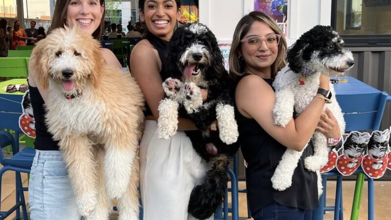 Bark Social - Baltimore, MD