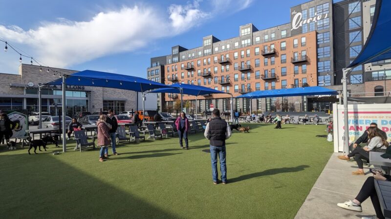 Bark Social - Baltimore, MD