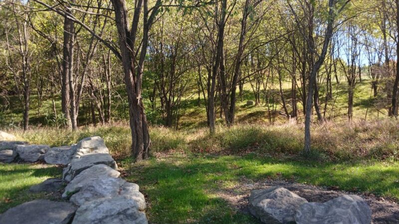 Blue Stone Park - Baltimore, MD