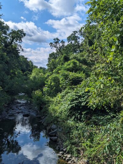 Chinquapin Run Park - Baltimore, MD