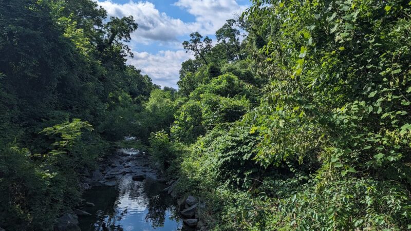 Chinquapin Run Park - Baltimore, MD