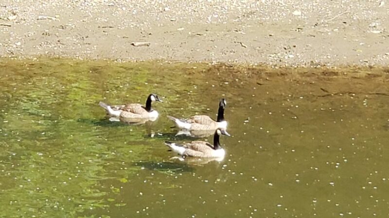 Cold Spring Park - Baltimore, MD