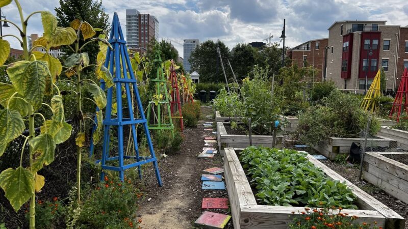 Eager Park - Baltimore, MD