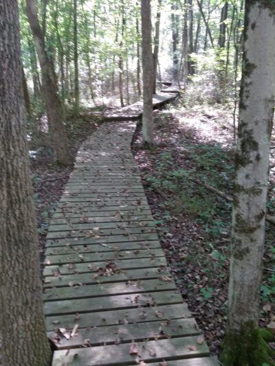 Gwynns Falls Trail - Baltimore, MD