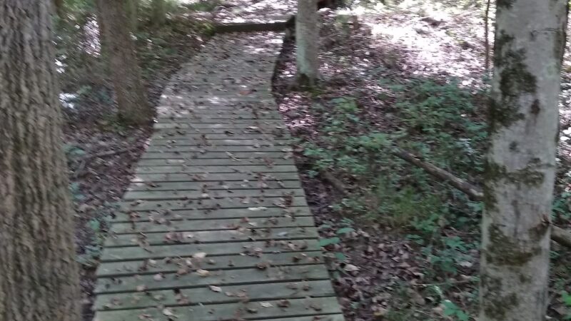 Gwynns Falls Trail - Baltimore, MD