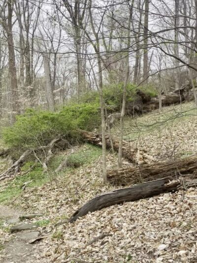 Gwynns Falls Trail - Baltimore, MD