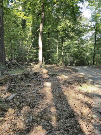 Gwynns Falls Trail - Baltimore, MD