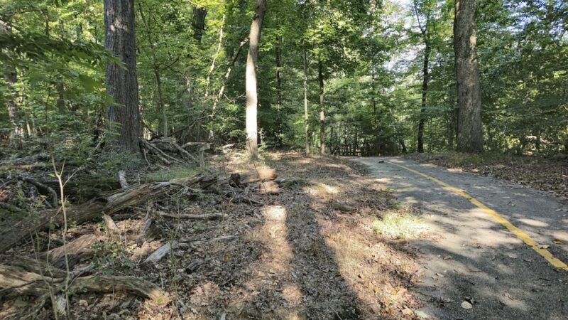 Gwynns Falls Trail - Baltimore, MD