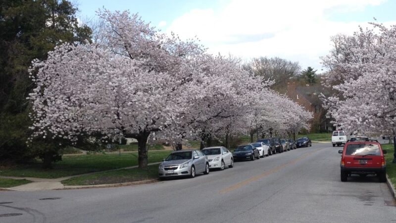 Hadley Square Park - Baltimore, MD