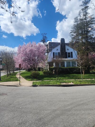 Hadley Square Park - Baltimore, MD