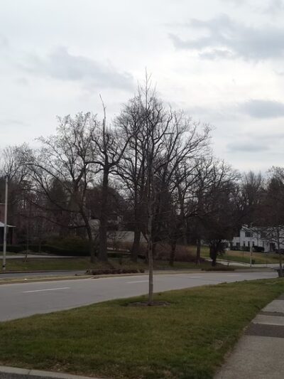 Hadley Square Park - Baltimore, MD