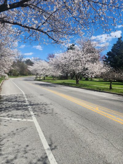 Hadley Square Park - Baltimore, MD