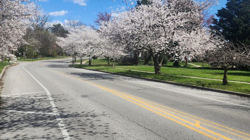 Hadley Square Park - Baltimore, MD