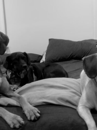 Hampden Hounds - Baltimore, MD