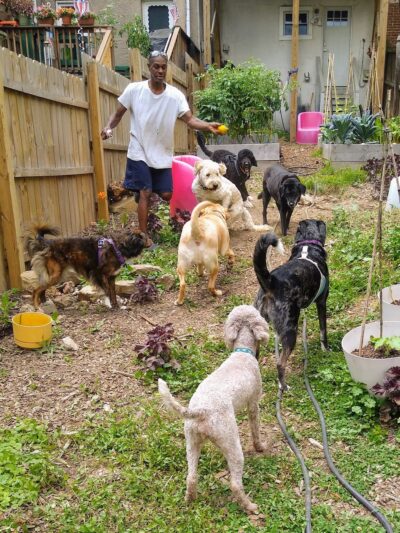 Hampden Hounds - Baltimore, MD
