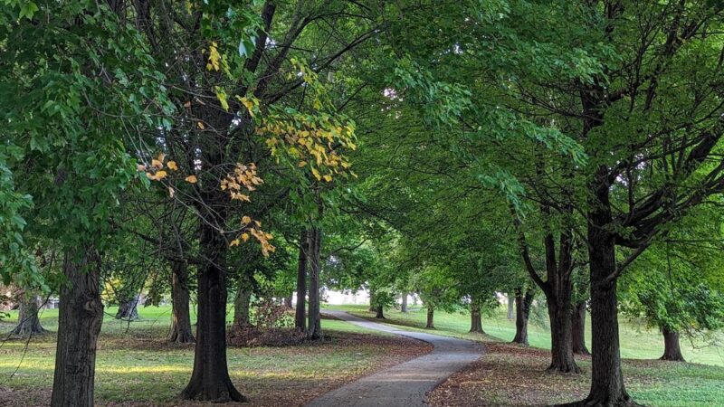 Hanlon Park - Baltimore, MD