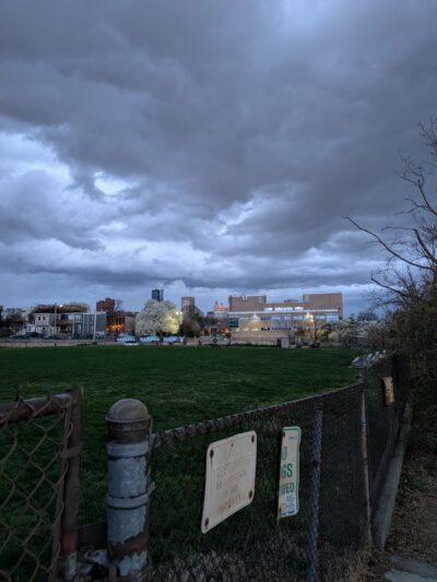 Henry Street Dog Park - Baltimore, MD