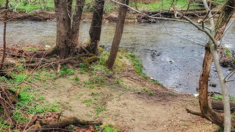 Herring Run Trailhead to Stream Footpath - Baltimore, MD