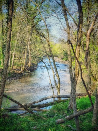 Herring Run Trailhead to Stream Footpath - Baltimore, MD