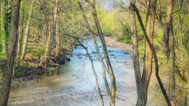 Herring Run Trailhead to Stream Footpath - Baltimore, MD