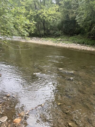 Herring Run Trailhead to Stream Footpath - Baltimore, MD